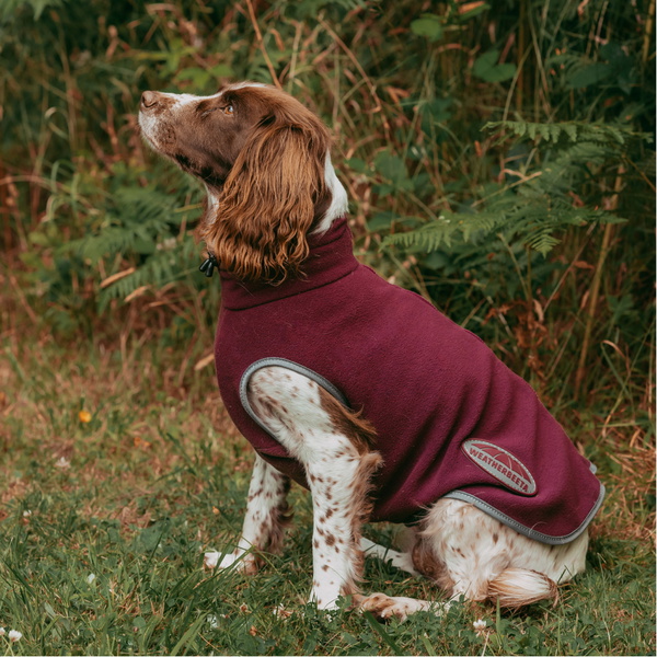 Weatherbeeta Comfitec Fleece Zip Dog Coat 1003457 - Maroon / Grey